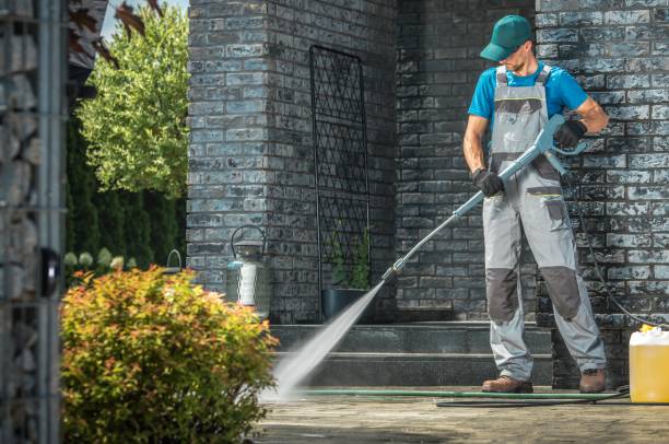 Best Warehouse Cleaning  in Black Rock, NM